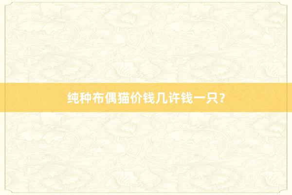 纯种布偶猫价钱几许钱一只？